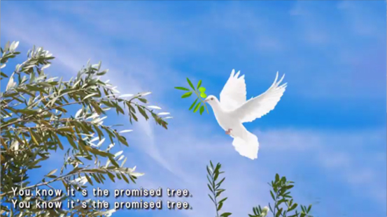 FLY TO THE PROMISED TREE